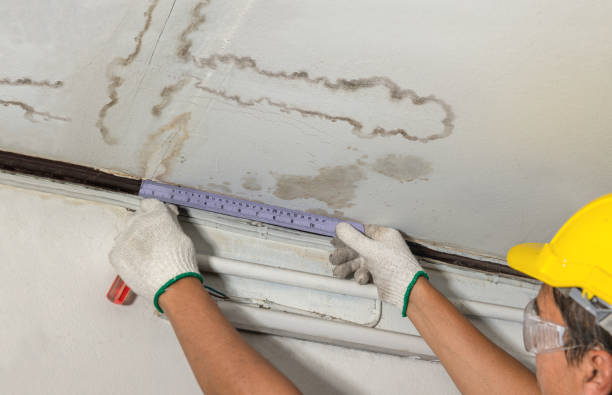 Reliable Basement Water Removal contractor in Clayton, MI by Water Damage Irwin